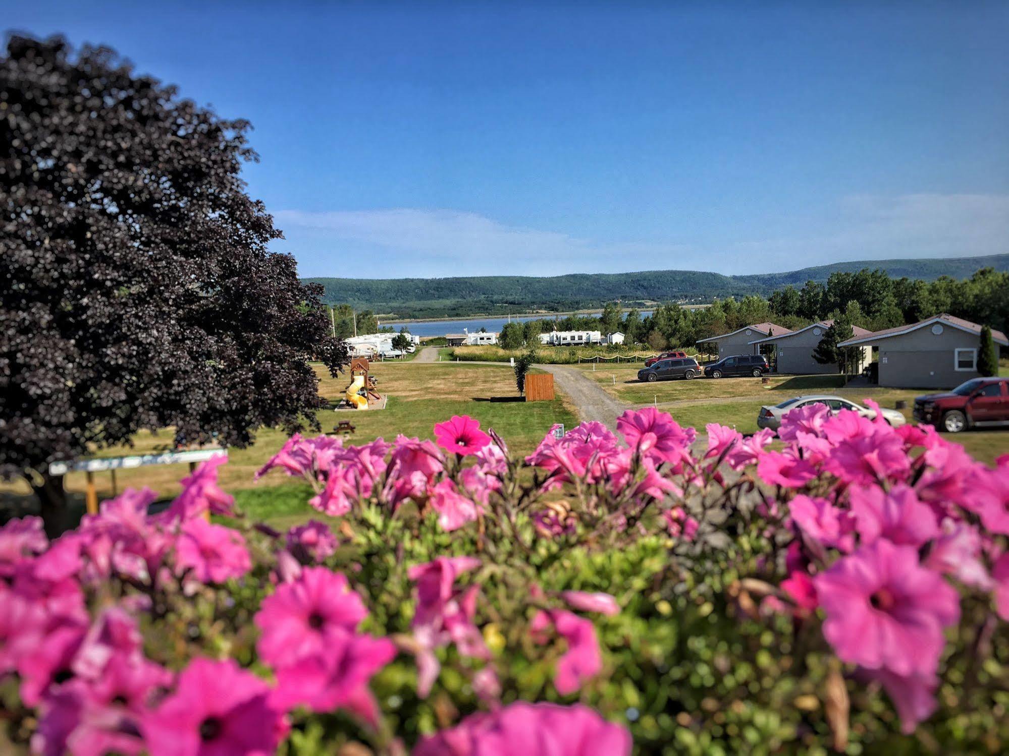 Upper Clements Cottages & Rv Park 安纳波利斯罗亚尔 外观 照片