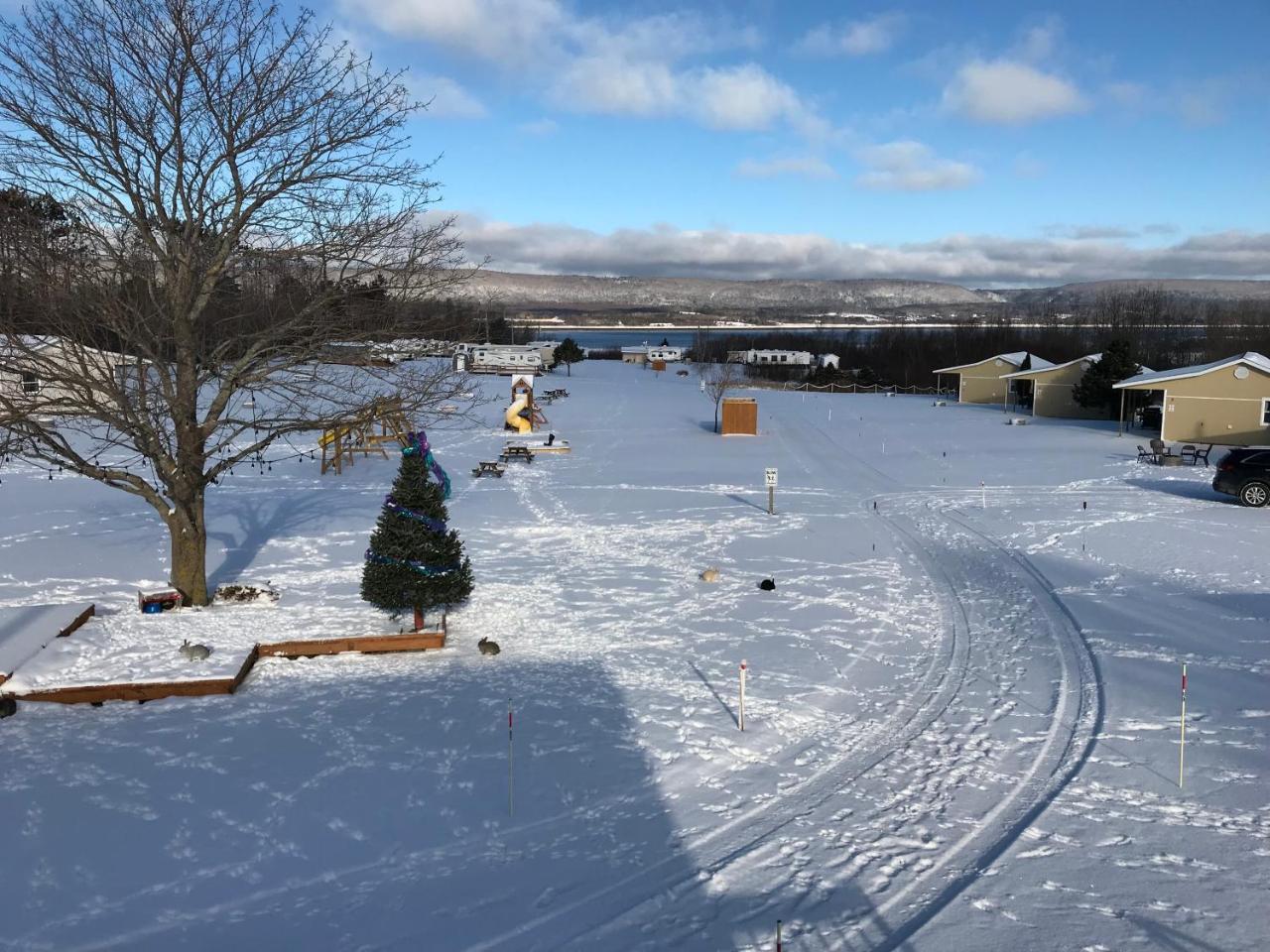 Upper Clements Cottages & Rv Park 安纳波利斯罗亚尔 外观 照片